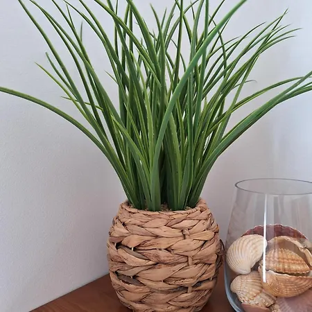 Apartman Ondasol- Acolhedor T2 Na Velha *